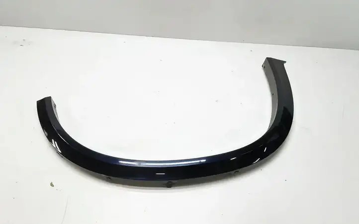 BMW X5 E70 (2006 - 2013) 8036654 Накладка колесной арки — фото 1