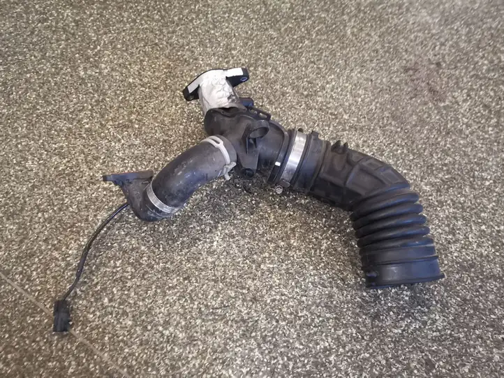 Nissan Juke I F15 (2010 - 2018) 165765493R Трубка подачи воздуха — фото 1