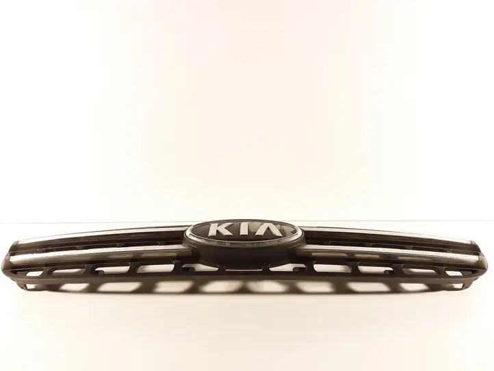 Kia Sportage (2004 - 2008) Верхняя решетка радиатора — фото 2