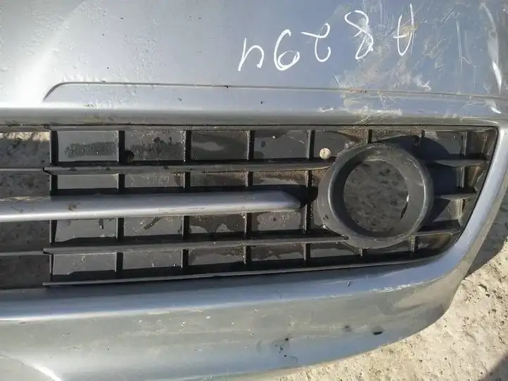 Mercedes-Benz A W169 (2004 - 2012) Нижняя решетка переднего бампера — фото 1