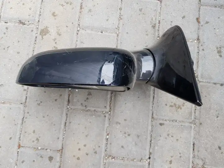 Hyundai Santa Fe (2000 - 2005) Боковое зеркало с электроприводом — фото 1
