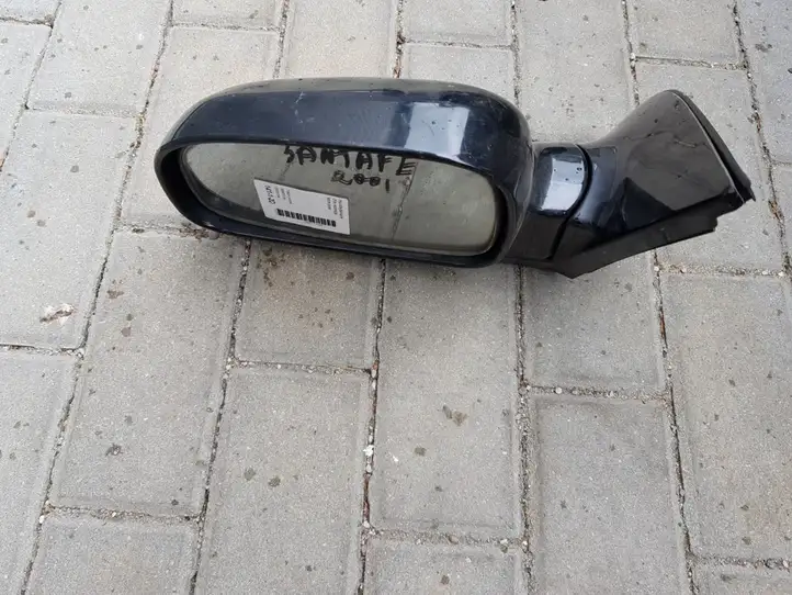 Hyundai Santa Fe (2000 - 2005) Боковое зеркало с электроприводом — фото 1