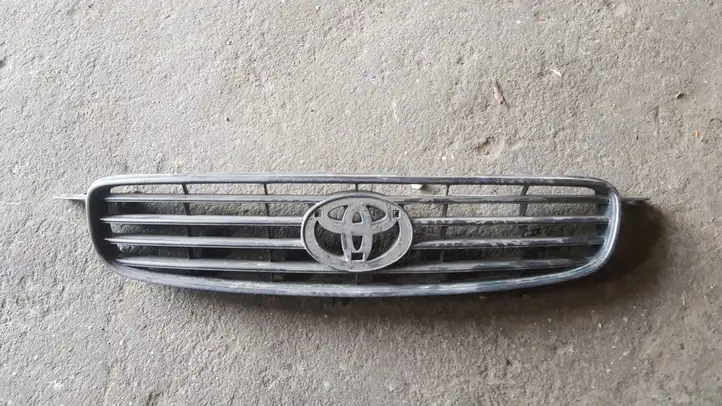 Toyota Avensis T220 (2000 - 2003) Верхняя решетка радиатора — фото 1