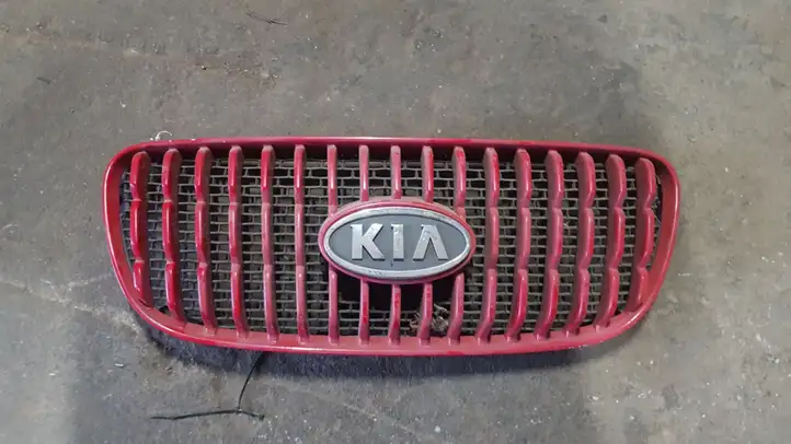 Kia Picanto (2004 - 2007) Верхняя решетка радиатора — фото 1