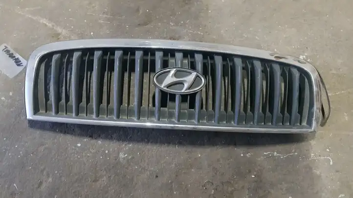 Hyundai Santa Fe (2005 - 2009) Верхняя решетка радиатора — фото 1