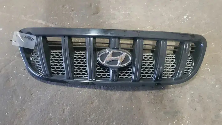 Hyundai Tucson JM (2004 - 2009) Верхняя решетка радиатора — фото 1