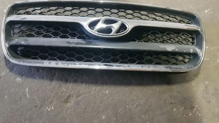 Hyundai Santa Fe (2000 - 2005) Верхняя решетка радиатора — фото 1