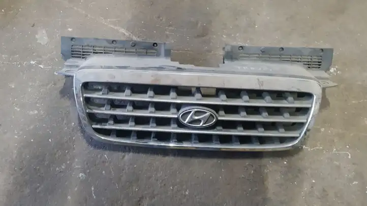 Hyundai Trajet (2000 - 2004) Верхняя решетка радиатора — фото 1