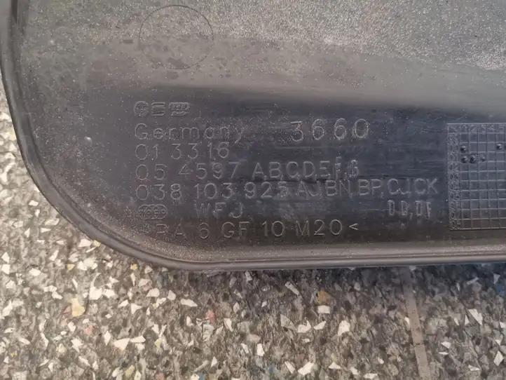 Volkswagen Golf IV (1998 - 2005) 038103925 Крышка двигателя декоративная — фото 2