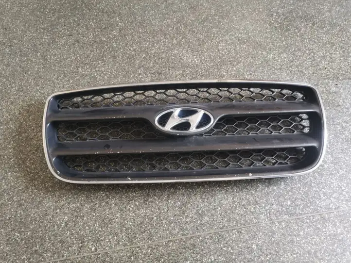 Hyundai Santa Fe (2005 - 2009) 865612B010 Верхняя решетка радиатора — фото 1
