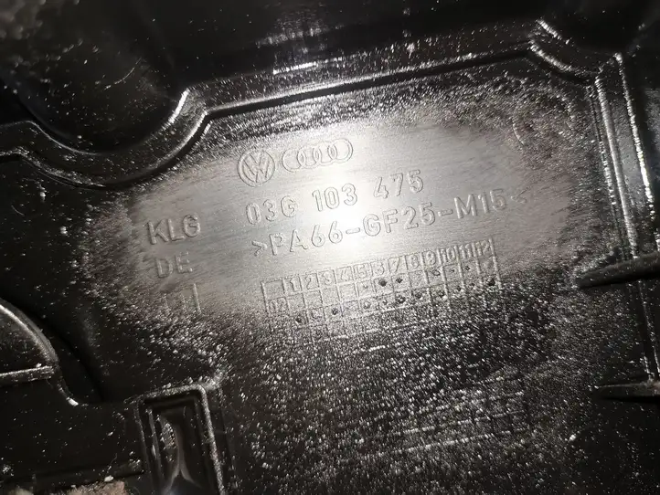 Audi A3/S3 8P (2004 - 2008) 03G103475 Крышка головки блока цилиндров — фото 3