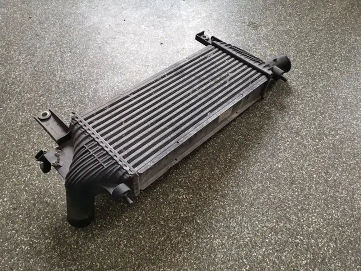 Nissan Pathfinder R51 (2005 - 2012) 14461EB360 Интеркулер — фото 2