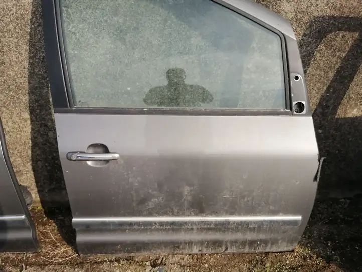 Volkswagen Sharan (2003 - 2010) Дверь — фото 1