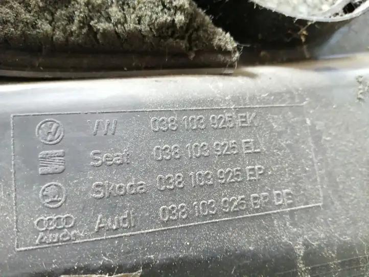 Volkswagen Golf IV (1998 - 2005) 038103925EK Крышка двигателя декоративная — фото 3