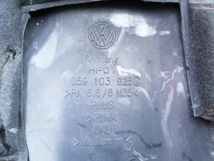 Volkswagen PASSAT B5.5 (2001 - 2005) 059103925C Крышка двигателя декоративная — фото 2