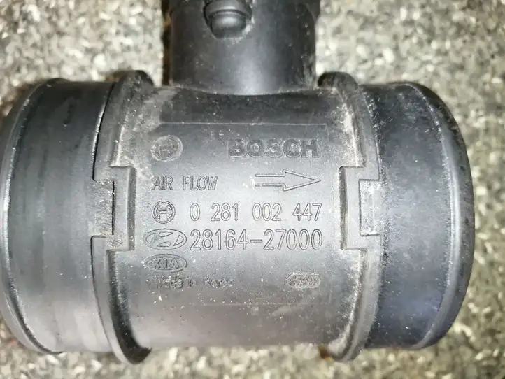 Hyundai Trajet (2000 - 2004) 0281002447 Датчик массового расхода воздуха — фото 1