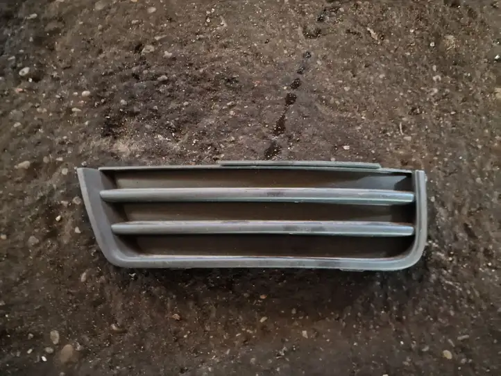 Ford Focus C-MAX (2003 - 2010) Нижняя решетка переднего бампера — фото 1