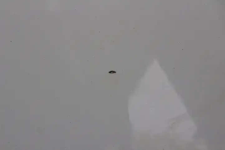 Volvo XC60 (2008 - 2013)   Капот