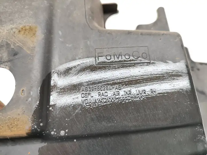 Ford Ranger (2015 - 2019) AB398C284AB Дефлектор воздуха — фото 3