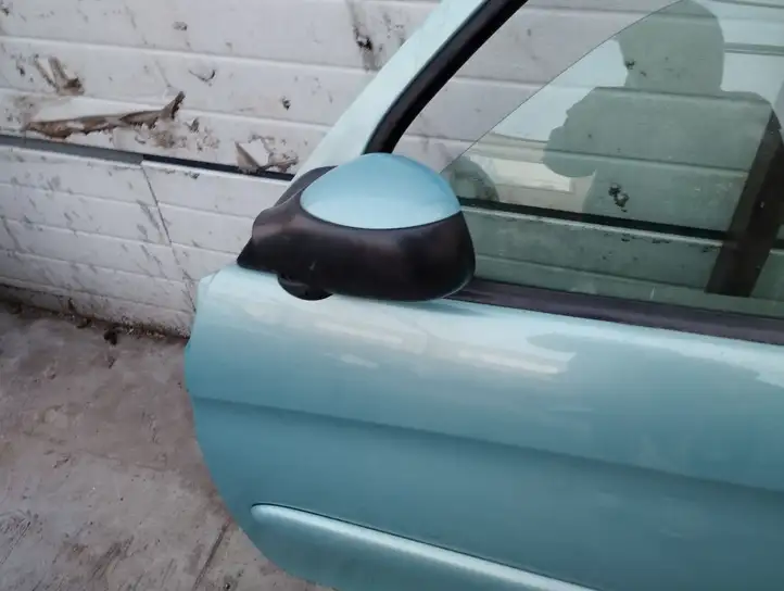 Citroen Xsara Picasso (1999 - 2012) Дверь — фото 3