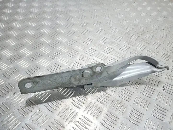 Jaguar XF X250 (2007 - 2015)  S9740220 Петля (петли) капота