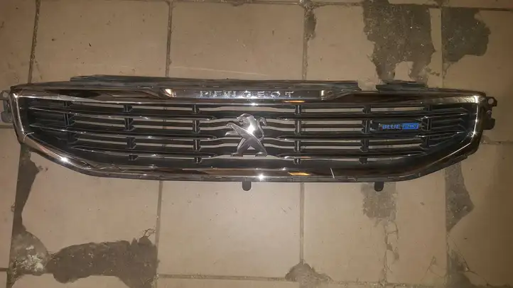 Peugeot 508 (2014 - 2018) Верхняя решетка радиатора — фото 1