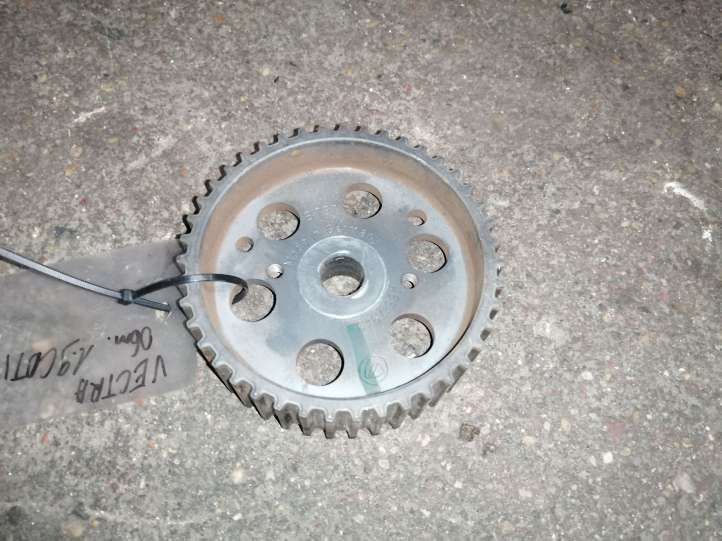 Opel Vectra (2005 - 2009)  46517943 Зубчатое колесо (шкив) топливного насоса