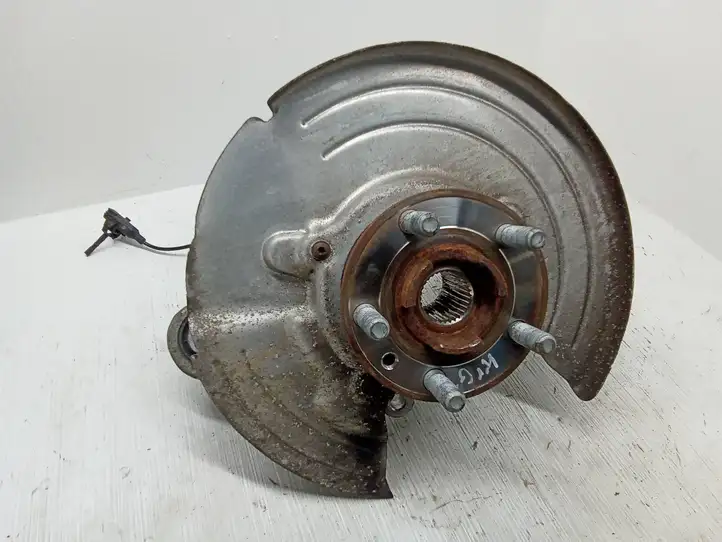 Land Rover Range Rover Evoque (2015 - 2018)  BJ325A969AF Задний поворотный кулак (ступица, цапфа)