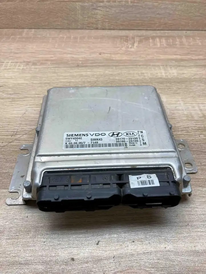 Hyundai Tucson JM (2004 - 2009) 3917023130 Блок управления двигателем (ECU) — фото 3
