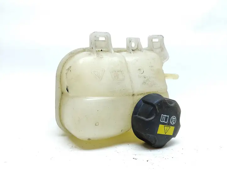 Mini Cooper Countryman R60 (2010 - 2016) 7823626 Расширительный бачок — фото 1