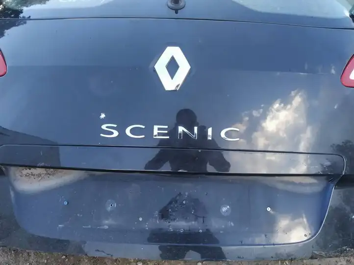 Renault Scenic III - Grand scenic III (2009 - 2016) Подсветка номера — фото 1