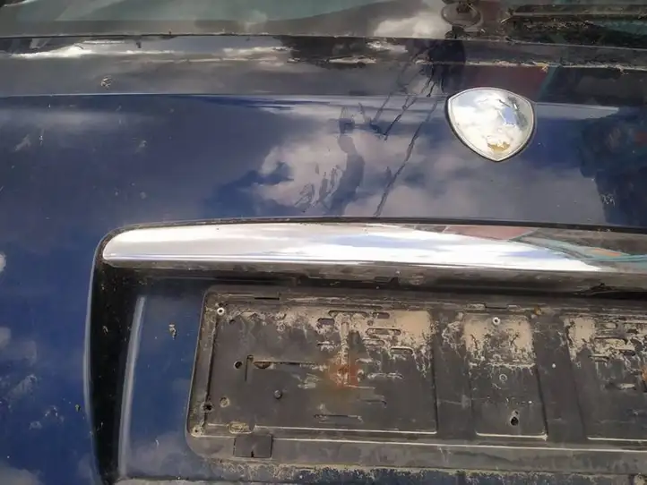 Lancia Phedra (2002 - 2010) Подсветка номера — фото 2