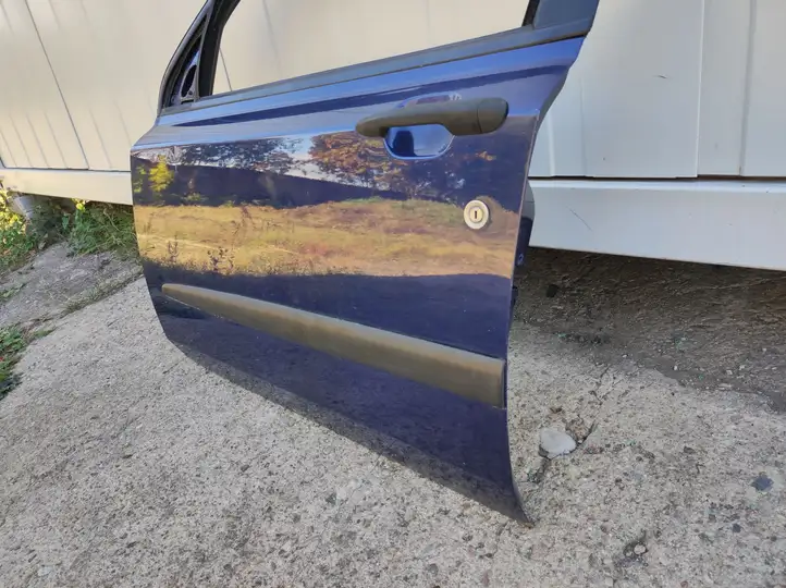 Fiat Stilo (2001 - 2010) Дверь — фото 2