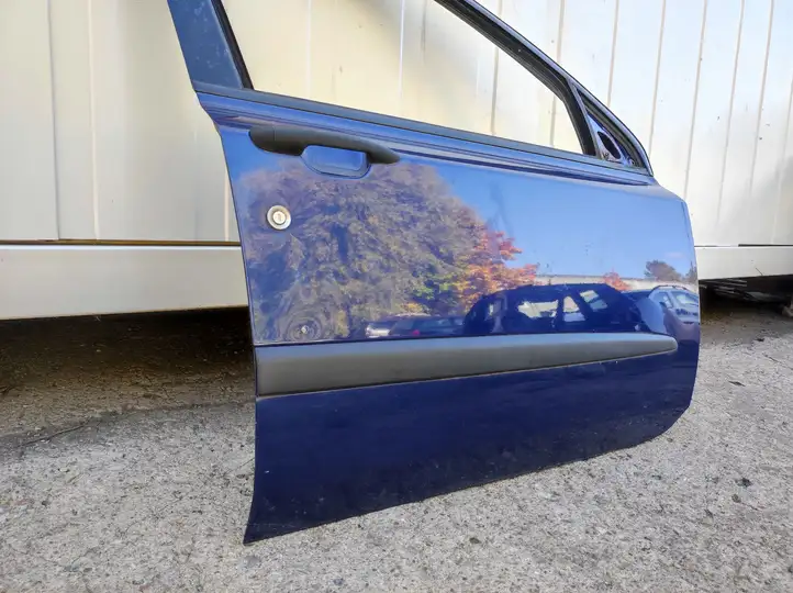 Fiat Stilo (2001 - 2010) Дверь — фото 9