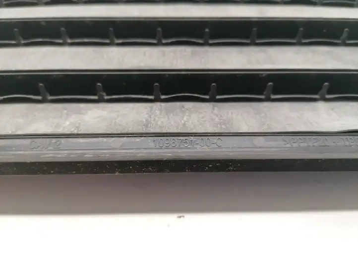 Tesla Model 3 (2017 - 2023) 1098751-00-C Решетка в крыле — фото 2