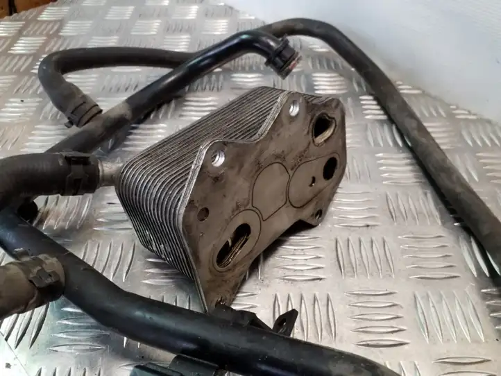 Audi A3/S3 8P (2003 - 2005) 06D117021C Кронштейн масляного фильтра — фото 1