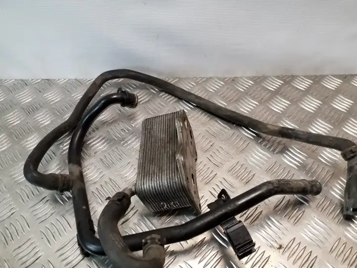 Audi A3/S3 8P (2003 - 2005) 06D117021C Кронштейн масляного фильтра — фото 2