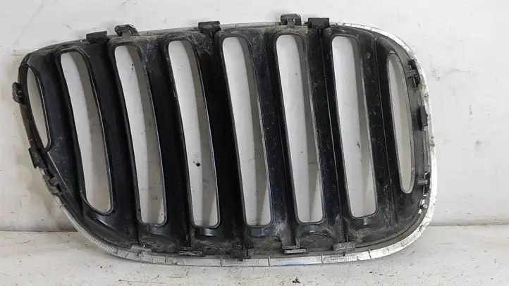 BMW X5 E53 (1999 - 2006)  7124815 Верхняя решётка