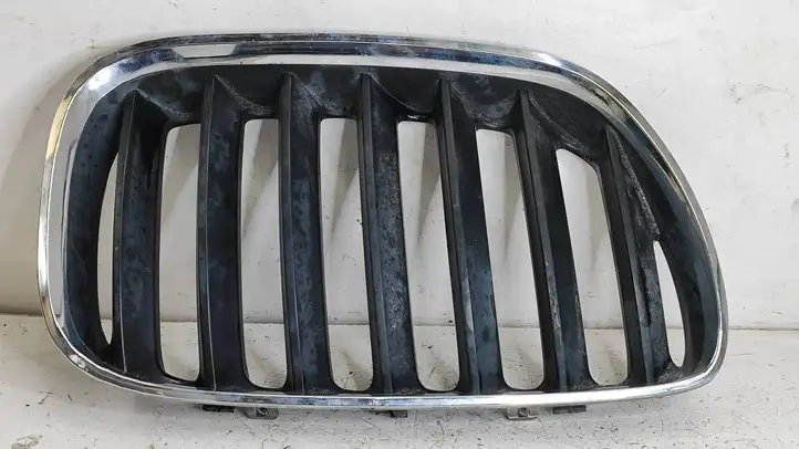BMW X5 E53 (1999 - 2006) 7124816 Верхняя решетка радиатора — фото 1