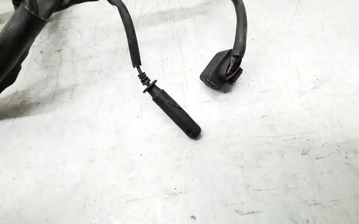 Audi A6 S6 C6 4F (2008 - 2011) 4F1971072PE Проводка двигателя — фото 3