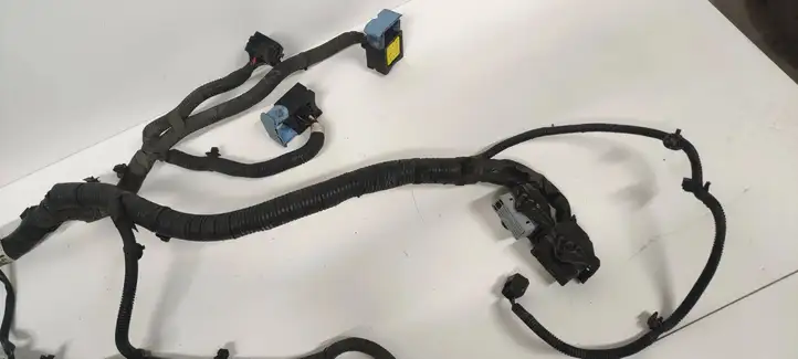 Nissan Juke I F15 (2010 - 2018) 240111KB0B Проводка двигателя — фото 5