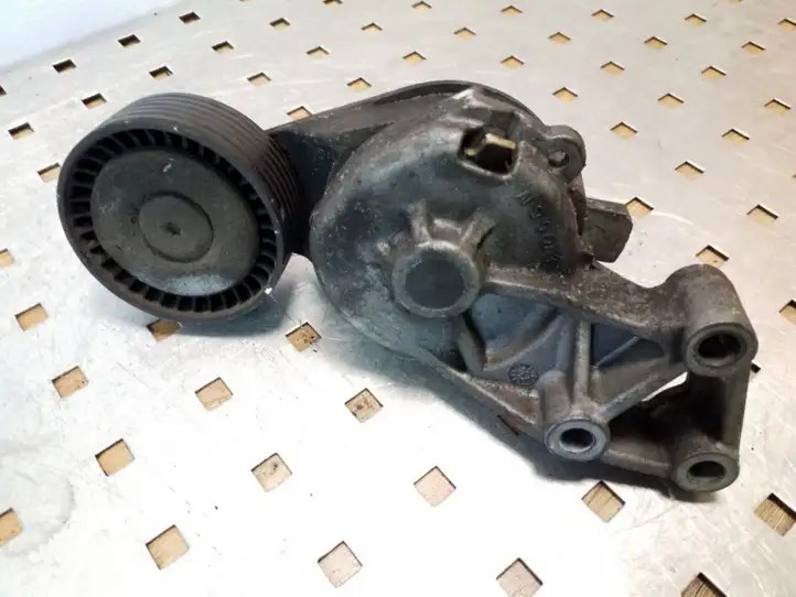 Volkswagen New Beetle (2005 - 2010) 038903315AE Натяжитель ремня генератора — фото 4