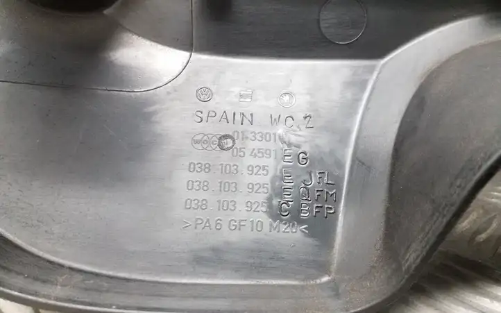 Volkswagen Golf IV (1998 - 2005) 038103925E Крышка двигателя декоративная — фото 5