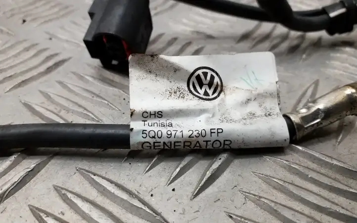 Volkswagen PASSAT B8 (2015 - ) 5Q0971230FP Проводка генератора — фото 6