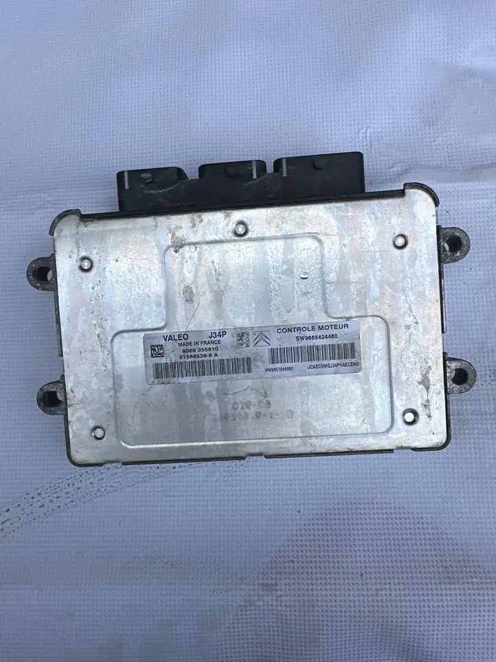 Peugeot 207 (2006 - 2009) SW9665424480 Боковое зеркало с электроприводом — фото 1