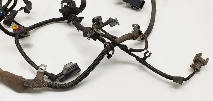 Ford Transit - Tourneo Connect (2002 - 2009) 2M5T9H589AF Проводка двигателя — фото 5