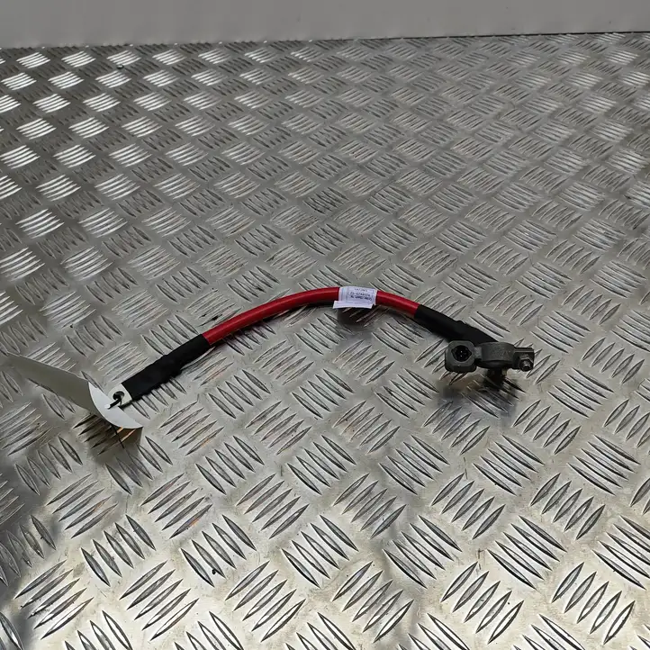BMW 3 F30 F35 F31 (2012 - 2018) 9259425 Плюсовой провод аккумулятора — фото 1