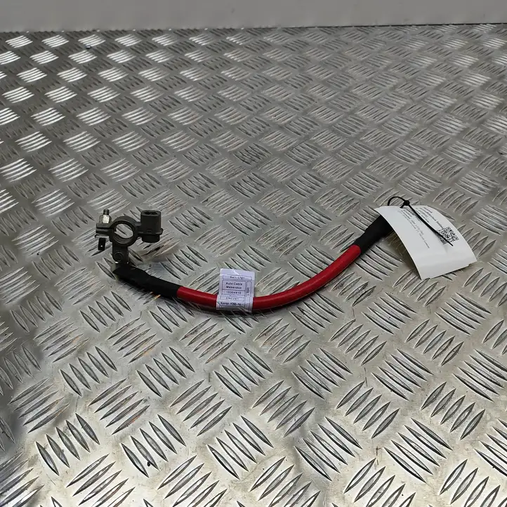 BMW 3 F30 F35 F31 (2012 - 2018) 9259425 Плюсовой провод аккумулятора — фото 3