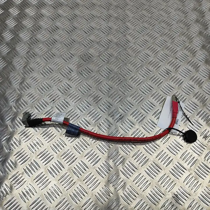 BMW 2 F22 F23 (2013 - 2017) 9253111 Плюсовой провод аккумулятора — фото 1