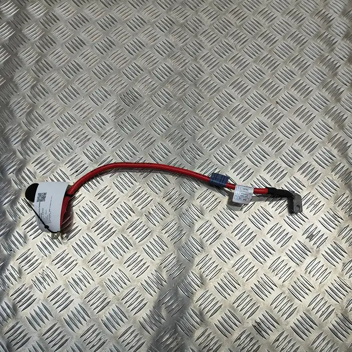BMW 2 F22 F23 (2013 - 2017) 9253111 Плюсовой провод аккумулятора — фото 3